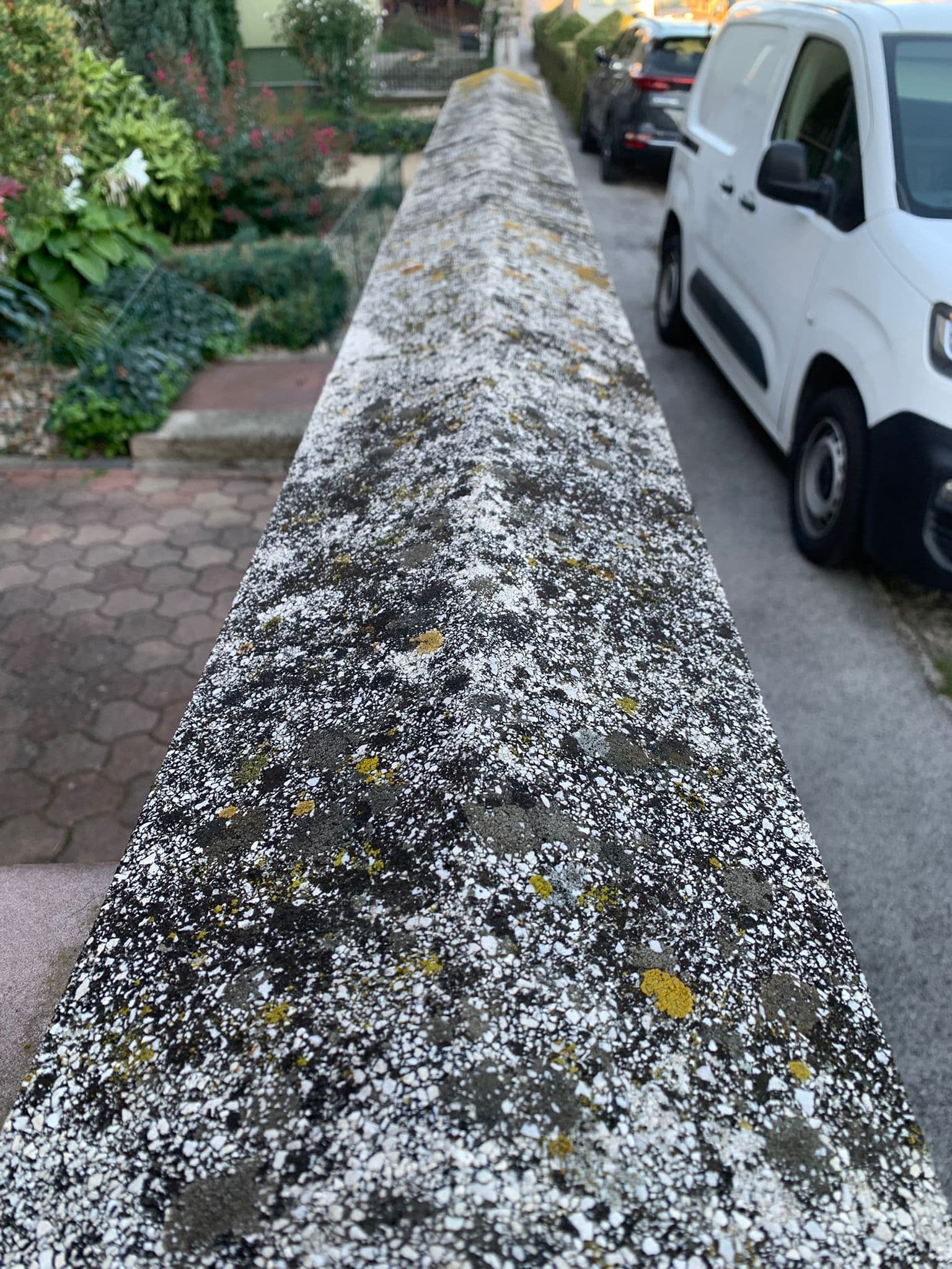 Stav pred čistením